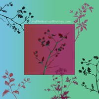 7 Free Watercolor Plant Twigs Photoshop Brushes